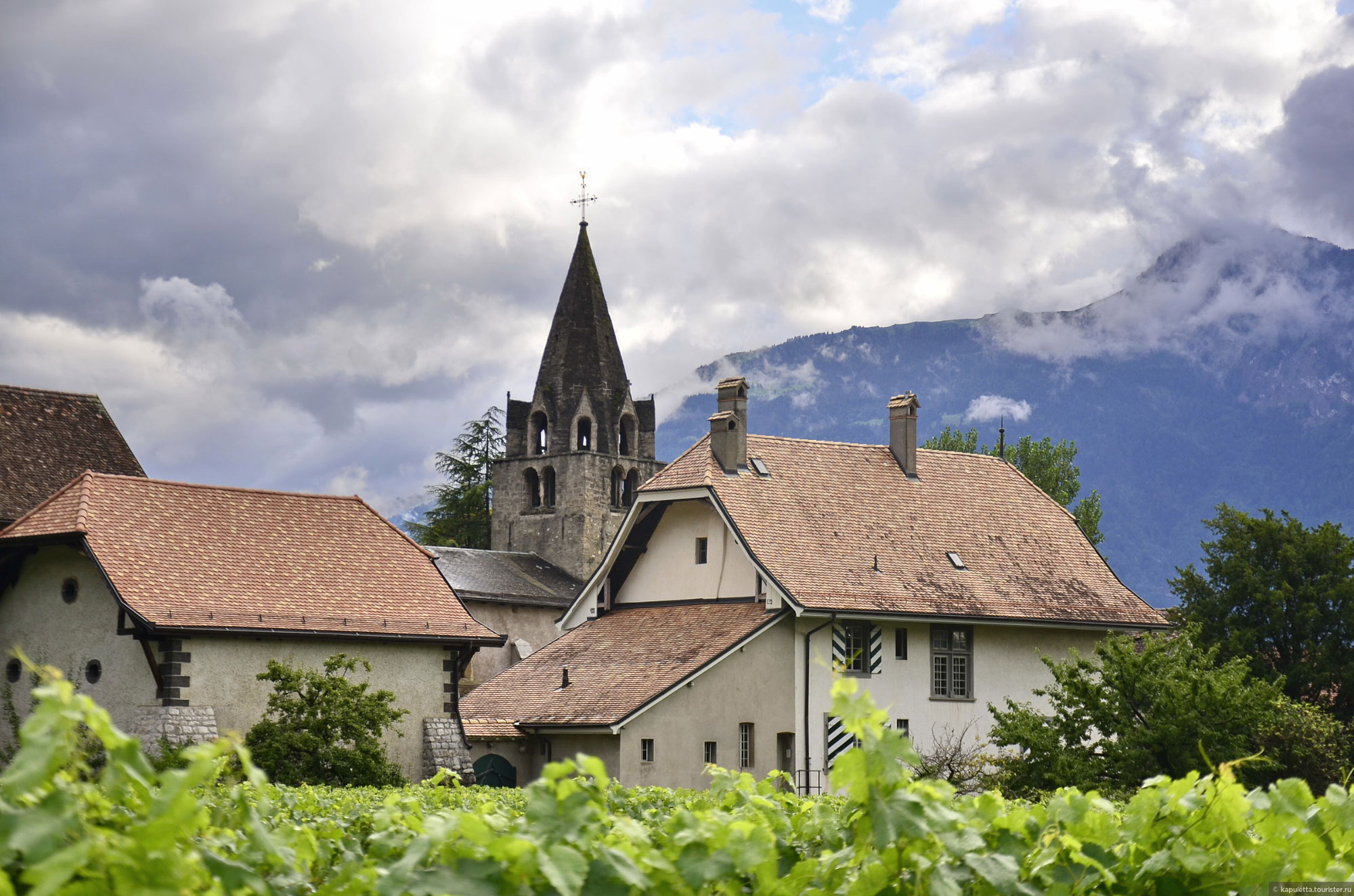 Aigle